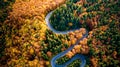 Aerial view of curvy road in beautiful autumn forest at sunset. Top view of roadway with autumn colors. Europe roads and transport Royalty Free Stock Photo