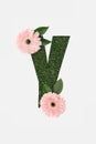 Top view of cut out Y letter on green grass background with pink gerberas isolated on white.