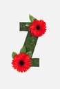 Top view of cut out Z letter on green grass background with red gerberas isolated on white.