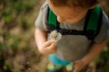 Cute little boy blowing a white dandelion in the garden Royalty Free Stock Photo