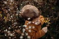 Top view of cute little boy wearing knitted sweater, explorying autumn nautre. Royalty Free Stock Photo