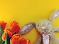 Cute rabbit doll with space copy on yellow background Royalty Free Stock Photo