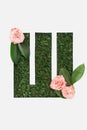 Top view of cyrillic letter made of green grass with pink roses isolated on white.