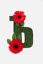 Top view of cyrillic letter with natural grass on background and red gerberas with green leaves isolated on white.