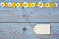 Top view of daisy flowers and a tag with space for text on a wooden surface Royalty Free Stock Photo