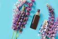 Top view of dark brown spray bottle mock-up and multicolor lupins on a turquoise blue background. Tanning oil and Beauty spa Royalty Free Stock Photo