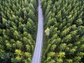 Top view of dark green forest landscape in winter. Aerial nature scene of pine trees and asphalt road Royalty Free Stock Photo