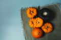 Top view decorative pumpkins on green napkin. Autumn harvest composition on trendy earth tones color background. Autumn