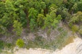 Top view of deep wild forest with deadfall in Broken Bow, Oklahoma, USA.