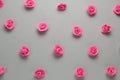 delicate pink roses buds pattern on a gray background Royalty Free Stock Photo