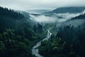 Top view of a dense spruce forest and a river in the fog. Generated by artificial intelligence Royalty Free Stock Photo