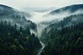 Top view of a dense spruce forest and a river in the fog. Generated by artificial intelligence Royalty Free Stock Photo