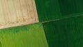 Top view of different agricultural fields. Yellow wheat field, yellow sunflower