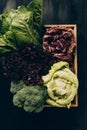 top view of different cabbages and salads in wooden box on grey Royalty Free Stock Photo