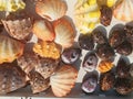 Top view of different color or types of shells Royalty Free Stock Photo
