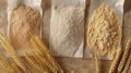 Top view, Different flour of wheat cereal in bakery bags.Texture of four wheat in mill:milled wheat sprouts, wheat bran,semolina