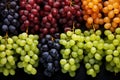 Top view of different grape varieties. Generative AI