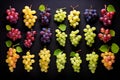 Top view of different grape varieties. Generative AI