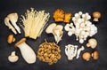 Top View of Different Mushrooms Royalty Free Stock Photo