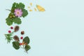 Top view on different plants, nuts and flowers on turquoise wooden background. autumn concept