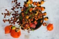 Top view of different rose hips in a little flower pot