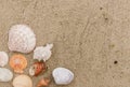 Top view of different sea shells on sand with copy space for text. Royalty Free Stock Photo