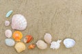 Top view of different sea shells on sand with copy space for text. Royalty Free Stock Photo