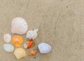 Top view of different sea shells on sand with copy space for text. Time to vacation Royalty Free Stock Photo