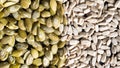 Top view of different seeds as a background. Two parts of sunflower and pumpkin seeds. Healthy food. Seeds texture Royalty Free Stock Photo