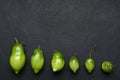 Top view of different shapes and sizes of green juicy tomatoes on the dark surface.Process of growing.Empty space