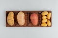 top view of different types of potato on white background