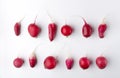 Top view of different types and shapes of radish on the white background