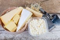 Top view of different varieties cheese and cottage cheese Royalty Free Stock Photo