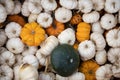 Top view of different varieties of pumpkins put on each other
