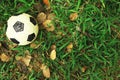 Top view of dirty football or soccer ball on grass and leaf ground