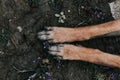 Top view of the dirty paws of a dog on the ground