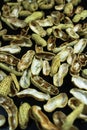 Top View of Discarded Empty Peanut Shells Spread on Black Background Royalty Free Stock Photo