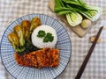 Top view of the dish made of baked crispy salmon with Chinese bok choy vegetable and white jasmine rice Royalty Free Stock Photo