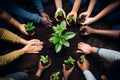 Top view diversity people hands taking care of young baby plants growing in fertile soil. World environment day. Reforestation, Royalty Free Stock Photo