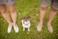 Top view on a dog. Woman and man with their nice dog in the park. summer walk with a dog. Beagle breed dog Royalty Free Stock Photo