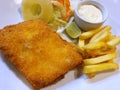 Top view of dory steak with french fries and mixed vegetable salad