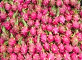 Top view Dragon Fruit on the market