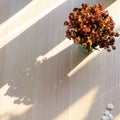 Top view dried daisy flower jar with long oblique shadow on white