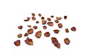 Top view of dried red rose and leaf. Royalty Free Stock Photo