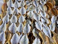 Top view of dried salted fish for cooking, for sale in the fish market