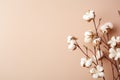 top view dried sprig of fluffy cotton on a beige background, natural decoration with copy space