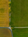 Top view from a drone at a avenue with green trees in a row from above. Royalty Free Stock Photo