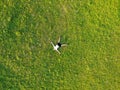 Top view handsome man lying on grass in star pose, relaxing by beautiful day in summer Royalty Free Stock Photo