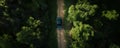 A top view drone shot of a red car on a winding road surrounded by lush greenery Royalty Free Stock Photo