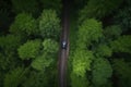 A top view drone shot of a red car on a winding road surrounded by lush greenery Royalty Free Stock Photo